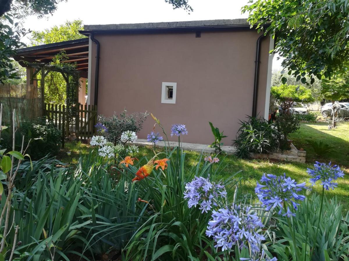 Apartman "Almond House 2" プーラ エクステリア 写真