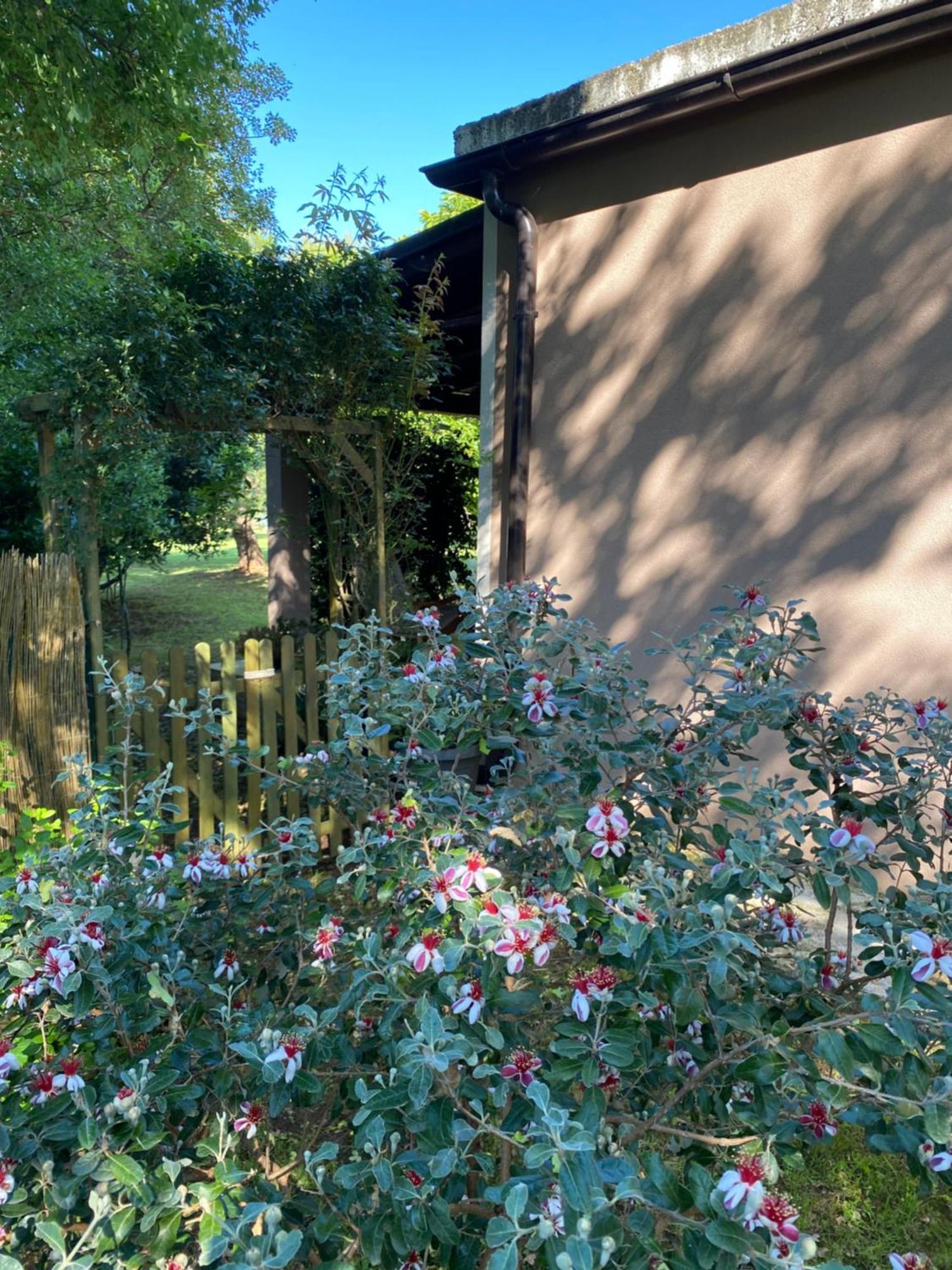 Apartman "Almond House 2" プーラ エクステリア 写真